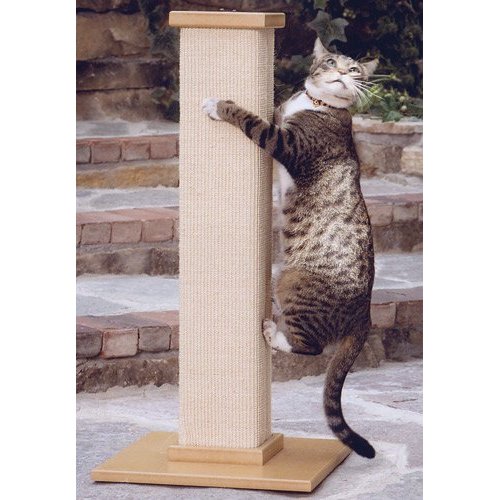 Relieve your cats itch with a scratching post