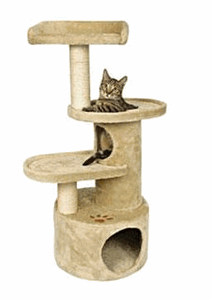 A very cute cat tower complete with tunnel and everything!!!