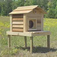 Cedar cat house 17 inch high with platform