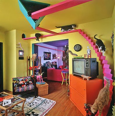 A whole new meaning to the term cat house