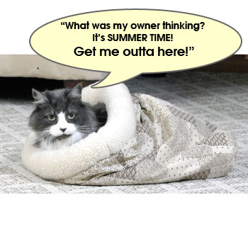 A kitty sleeping bag?