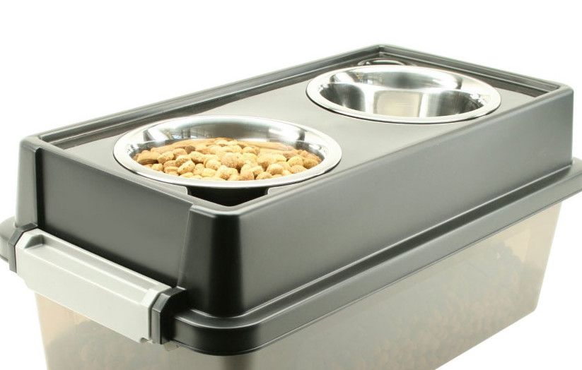 Help ease your cats neck strain during meals