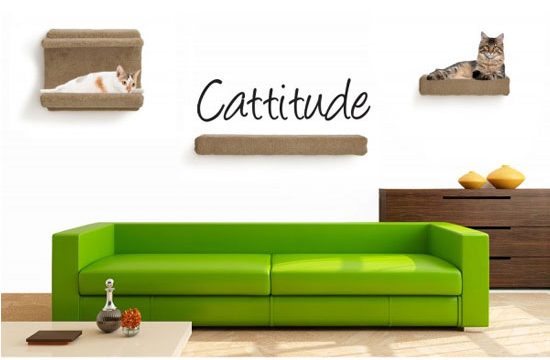 Welcome to the all new CoolKittyCondos